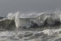 Stormy breaking wave