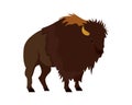 Detailed Bison Illustration with Standing Gesture