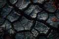 Detailed black cracked earth texture background with small and large cracks in all directions Royalty Free Stock Photo