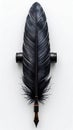 Detailed Black Feather Close Up on White Background with Intricate Texture Royalty Free Stock Photo