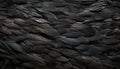 Detailed black feathers texture background digital art featuring large bird feathers