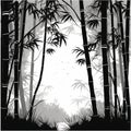 Detailed Black And White Bamboo Forest Illustration