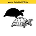 A detailed black and white illustration of a tortoise and its silhouette Royalty Free Stock Photo