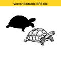 A detailed black and white illustration of a tortoise and its silhouette Royalty Free Stock Photo