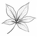 Detailed Black And White Leaf Drawing On White Background