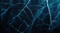 Detailed Blue Leaf Veins Macro Photography Royalty Free Stock Photo