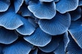 Detailed Blue mushroom closeup background. Generate Ai