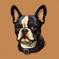 Detailed Boston Terrier Dog Head Illustration With Collar