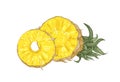 Detailed botanical drawing of cut fresh organic pineapple isolated on white background. Ripe delicious exotic tropical