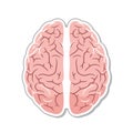 Vector art of brain illustration, representing intelligence, thought, memory, and the complexities of the human mind and cognitive Royalty Free Stock Photo