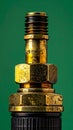 Detailed Brass Schrader Valve on Green Background Royalty Free Stock Photo