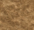 Detailed brown leather surface showing a textured and patterned material with many fine lines present Royalty Free Stock Photo