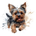 Detailed Cartoon Yorkie Dog in Watercolor Style Royalty Free Stock Photo