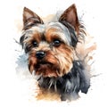 Detailed Cartoon Yorkie Dog in Watercolor Style Royalty Free Stock Photo