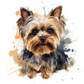 Detailed Cartoon Yorkie Dog in Watercolor Style Royalty Free Stock Photo