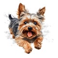 Detailed Cartoon Yorkie Dog in Watercolor Style Royalty Free Stock Photo