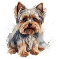 Detailed Cartoon Yorkie Dog in Watercolor Style Royalty Free Stock Photo