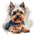 Detailed Cartoon Yorkie Dog in Watercolor Style Royalty Free Stock Photo