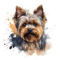 Detailed Cartoon Yorkie Dog in Watercolor Style Royalty Free Stock Photo