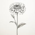 Detailed Black And White Zinnia Flower Sketch Illustration