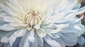 Detailed Chrysanthemum Watercolor Painting Of A White Rose