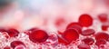 Detailed close up of blood cells on blurred background, with text space for placement