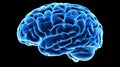 Detailed close-up of a brain showcasing luminous blue neural pathways, positioned on a black backdrop offering ample Royalty Free Stock Photo