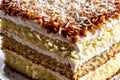 Detailed close-up of coconut layer cake with a dollop of coconut cream on top, focusing on the texture contrast and the