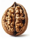 Detailed Close Up of a Cracked Open Walnut with Visible Kernel and Shell Isolated on a White Background Royalty Free Stock Photo