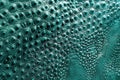Detailed close-up of a green leather texture, perfect for backgrounds or design elements Royalty Free Stock Photo