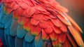Detailed Close-Up of Parrot\'s Colorful Feathers