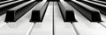 Detailed close up of piano keyboard in striking black and white monochrome tones