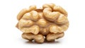 Close up of a single shelled walnut half with intricate brain-like texture and light brown color Royalty Free Stock Photo
