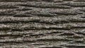 A detailed close-up of rough bark of old tree showing natural texture and pattern. Royalty Free Stock Photo