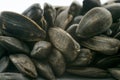 Detailed close up shot of black sunflower seeds Royalty Free Stock Photo