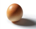 A Single Brown Egg With A Speckled Texture Isolated On A White Background Casting A Shadow Royalty Free Stock Photo