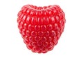 A closeup of a fresh, ripe raspberry isolated on white background Royalty Free Stock Photo