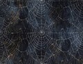 Intricate Spiderweb Pattern with Dew Drops at Night Royalty Free Stock Photo