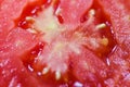 detailed close up of Tomato slice - macro tomatoes Royalty Free Stock Photo