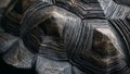 Close-up of a Turtle\'s Shell Texture and Pattern (ai generated) ai generated Royalty Free Stock Photo