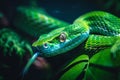 Detailed close up of a vibrant emerald snake in a lush, dense tropical jungle habitat