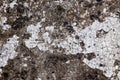 Detailed close up view on aged concrete walls with cracks and lots of strcuture Royalty Free Stock Photo