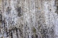 Detailed close up view on aged concrete walls with cracks and lots of strcuture Royalty Free Stock Photo