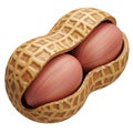 Close-up of an Open Peanut with Two Reddish- Brown Kernels Inside on a White Background Royalty Free Stock Photo