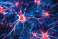 A detailed close-up view of a red and blue human brain with neurons firing Royalty Free Stock Photo