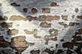 Detailed close up view at a red brick wall with multiple spotlights on it