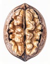 Detailed Close Up View of Split Open Walnut with Intricate Texture on White Background Royalty Free Stock Photo