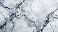 A Detailed Close-Up of White and Black Marble Veins Royalty Free Stock Photo