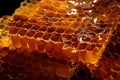 Detailed Close-Ups of Beehives with Freshly Harvested Honey Filling the Combs