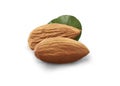Detailed Closeup of almonds, isolated on the white background with green leaf organic badam fresh